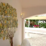 Quintinha